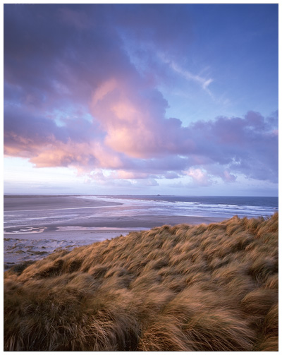Budle Bay